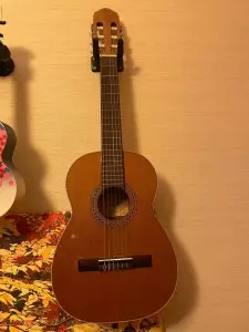 انواع گیتار کلاسیک ریموندو